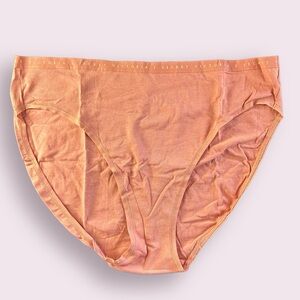 Victorias Secret Clay Hip Pantie NWT Size Large